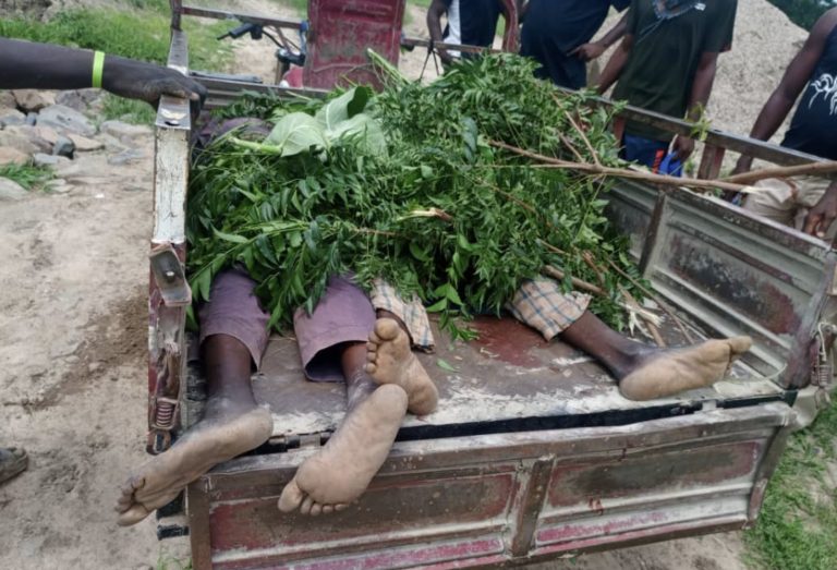 Boko Haram k!lls four farmers in Borno