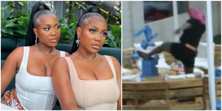 BBNaija: Handi loses her cool, destroys Biggie’s property during clash with twin sister, Wanni (VIDEO)