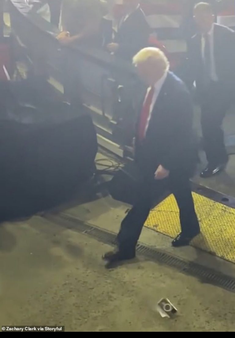 Moment Secret Service race to protect Trump after phone is thrown at him during rally (video)