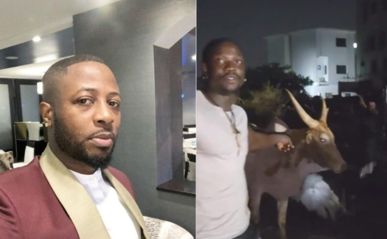 “Hope it’s not our NGO money” – Verydarkman stirs reactions as he gifts Tunde Ednut a huge cow ahead of his birthday (Video)