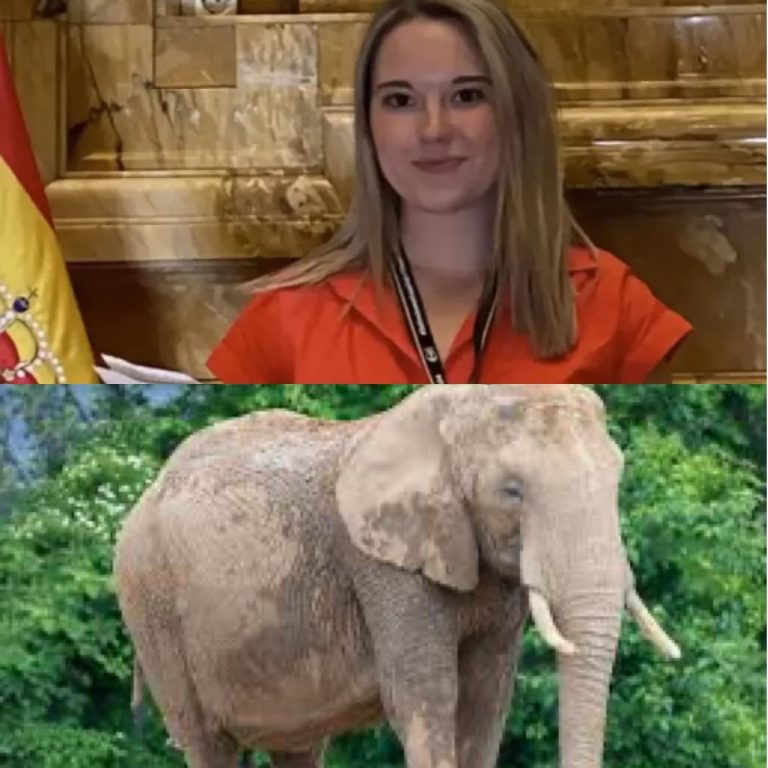 Elephant gores woman to death in Thailand while she and her boyfriend were bathing the animal